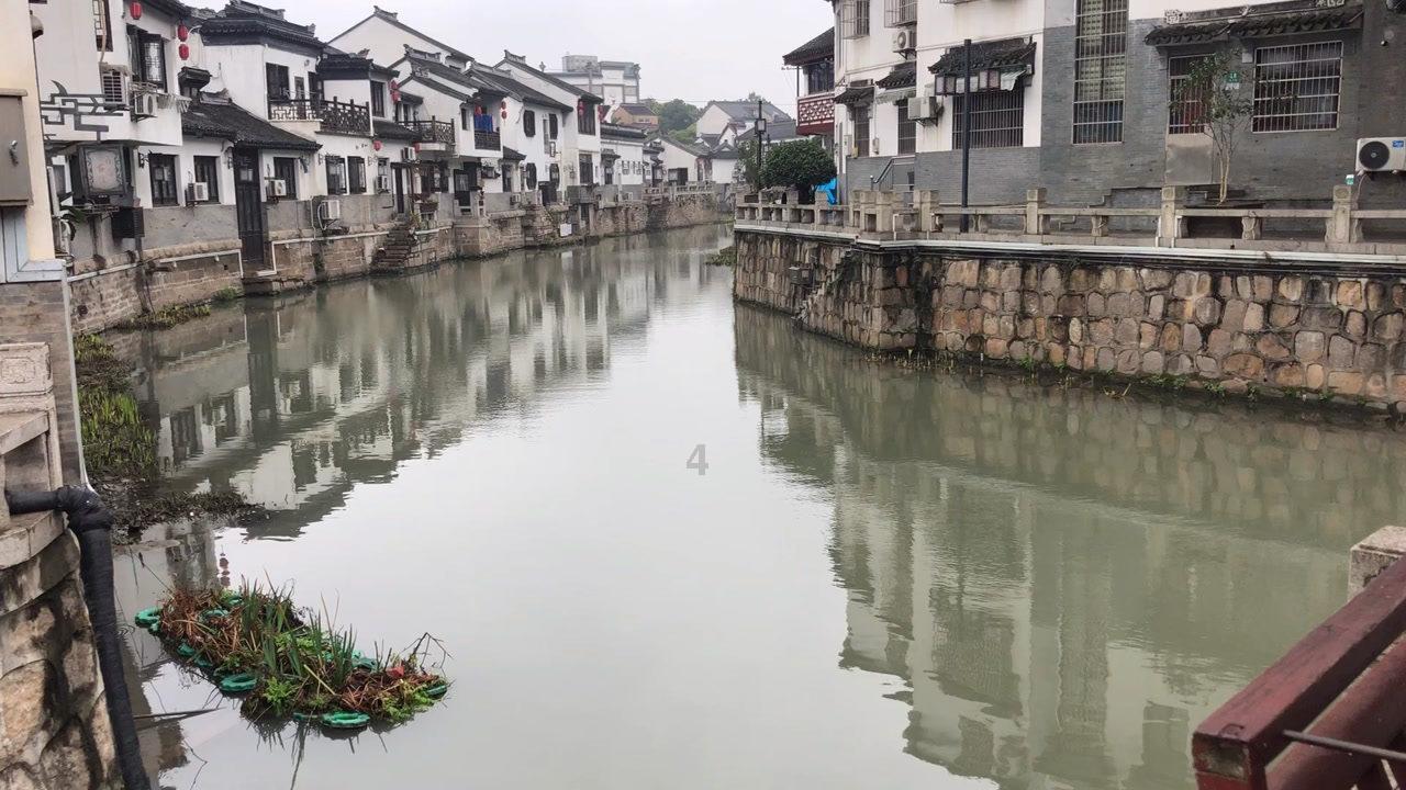 森迪公主的可爱装扮